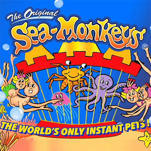 Imagen representativa
                               de la categoría Sea Monkeys